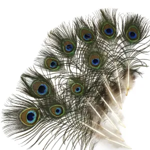 25 PCS Peacock Eye Feather Craft  4-10" - Natural