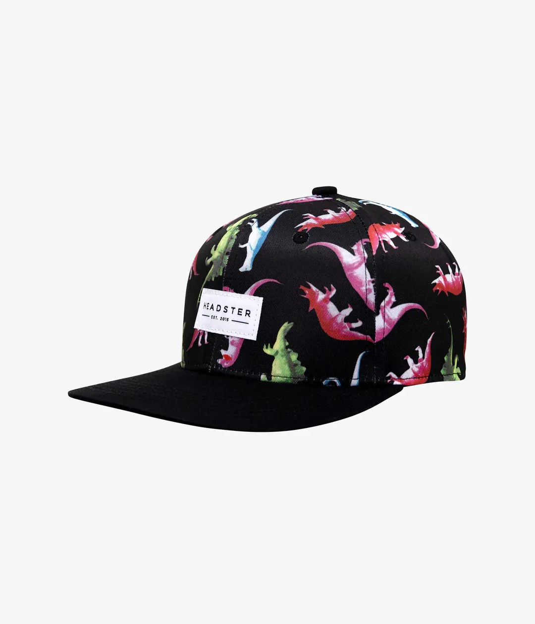 Dino Print Hat