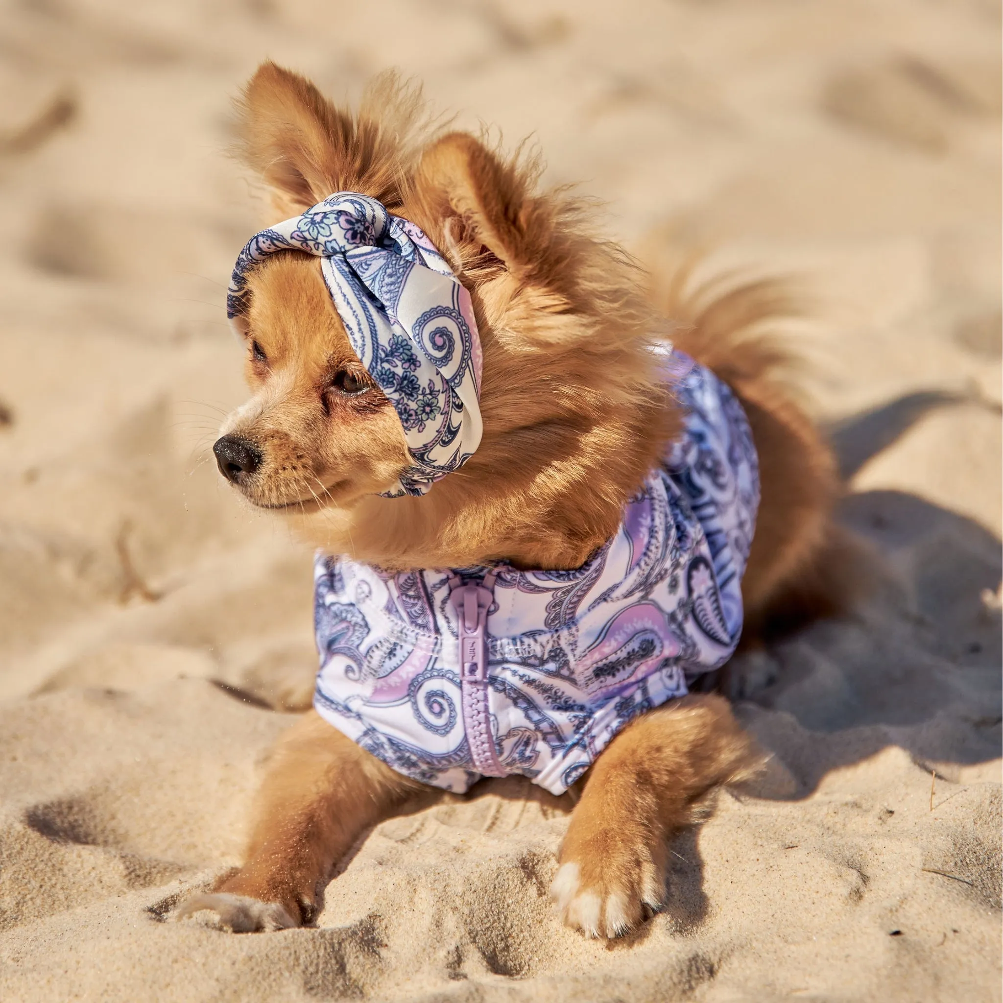 Paisley Dog Twist Headband