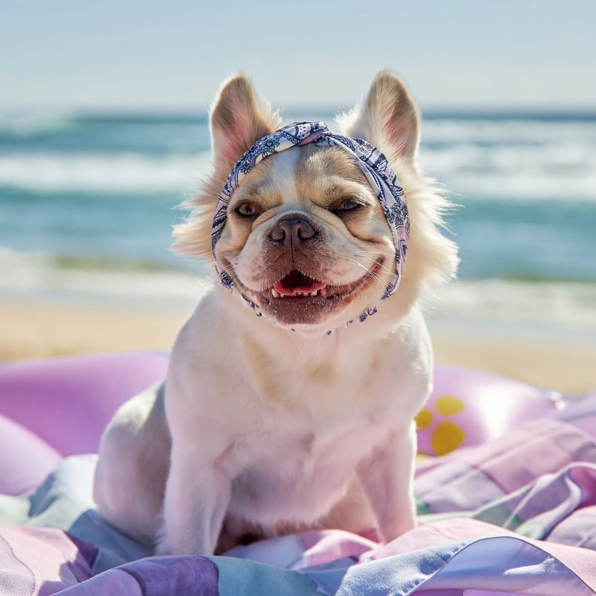 Paisley Dog Twist Headband