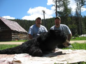 Silver Spur Outfitters - Spring Bear Hunt - Spot n Stalk